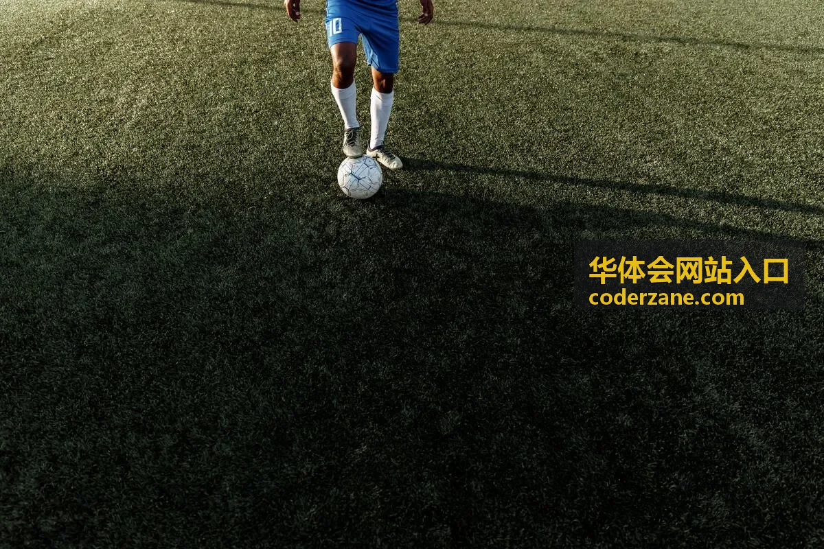 华体会网站入口页面打不开自查顺序封面